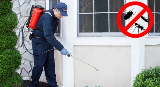 Erciş Tahtakurusu İlaçlama böcek ilaçlama ve haşere kontrolü — ilaclama-tr.com
